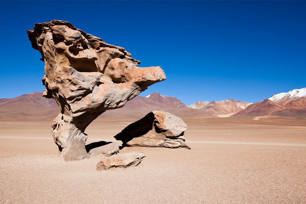 Land 07 the tree of stone Bolivien