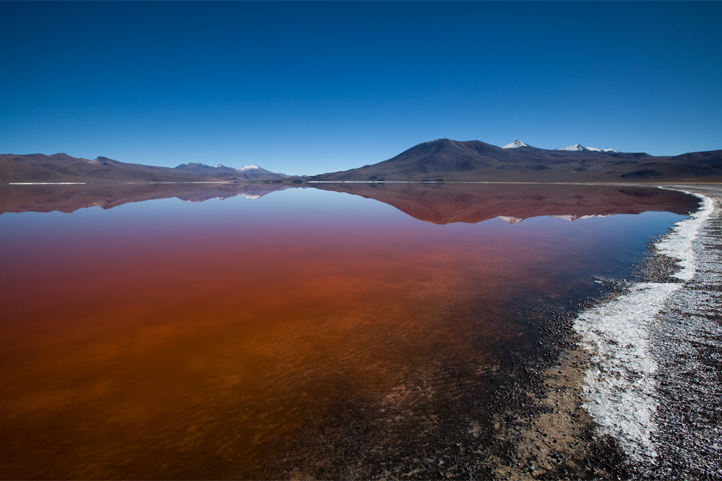 Land 09 Laguna Colorada Bolivien
